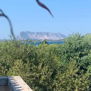 https://la-cinta.in-sardinia.net